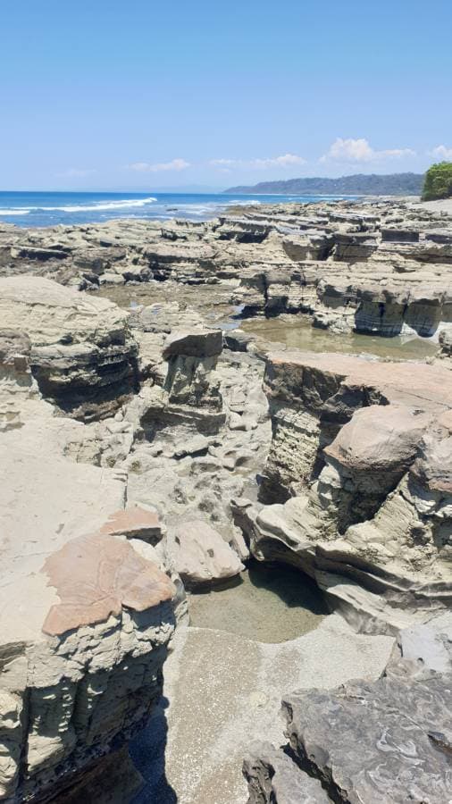 Photo 4 by Petra A. (3/29/23)