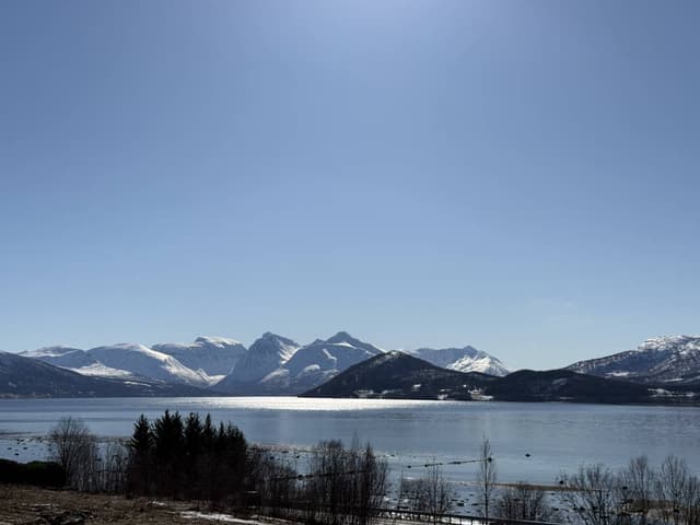 Zdjęcie 3 wykonane przez Paulina K. (13.04.26)