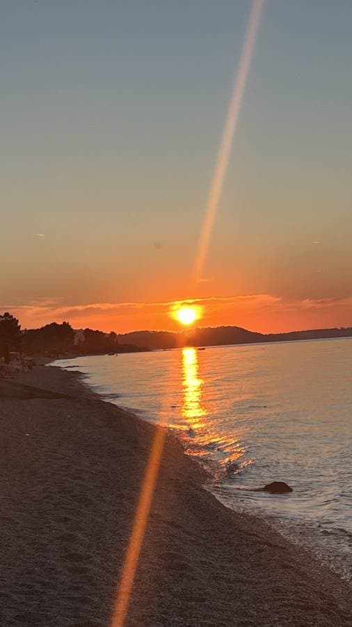 Fotografia 6 realizată de Elena R. (19.06.24)