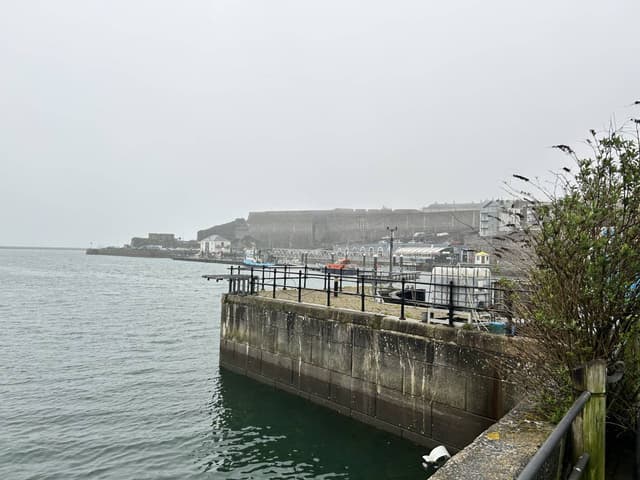 Photo 2 by Robert T. (4/16/26)