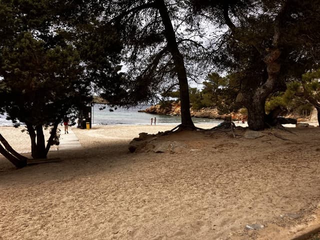 Photo 5 by Susan B. about hiring a Fiat 500 in the Balearic Islands (28.04.24)