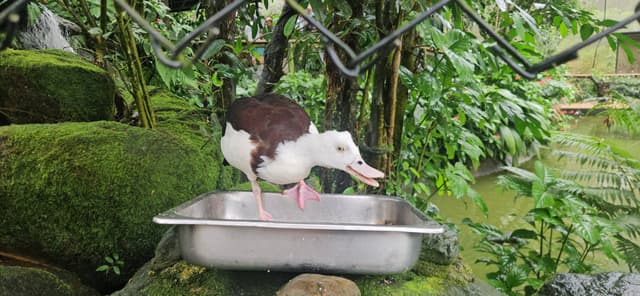 Photo by Maxine L. (2/13/26)