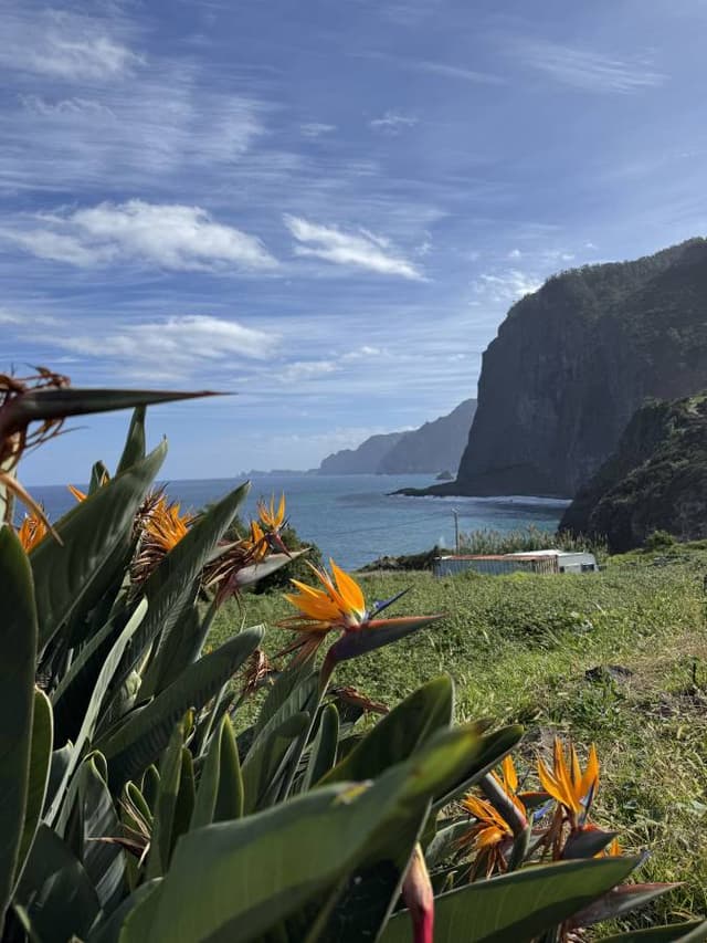 Dora B. 4. számú fényképe (25. 11. 13.)