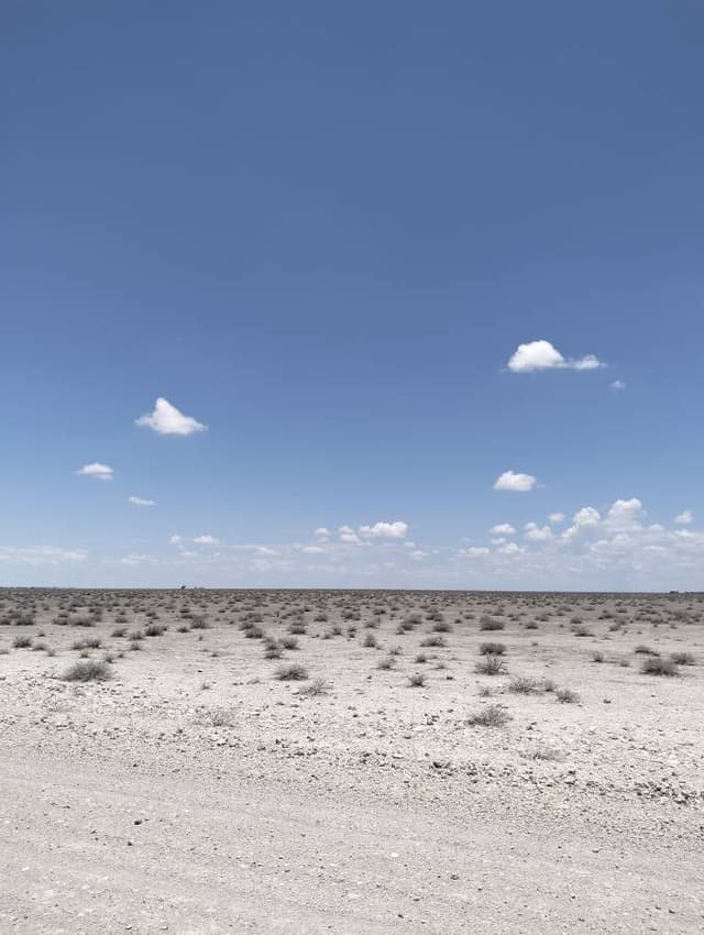 Foto 2 de JOSE ANTONIO M. (10/1/24)