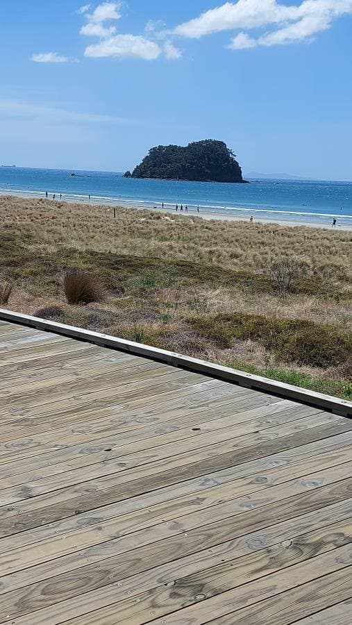 Photo 7 by Julie D. about renting a Toyota Aqua at Auckland Airport (1/30/25)