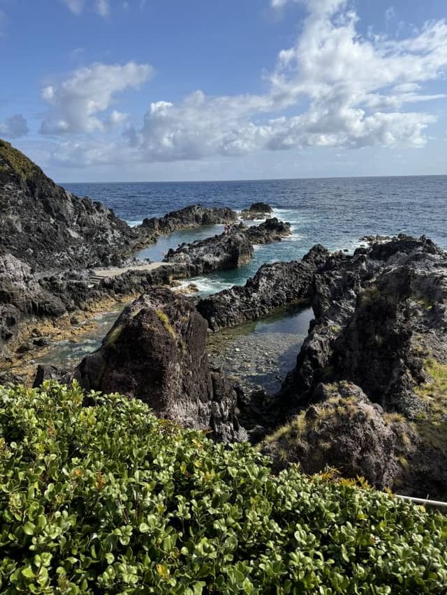 Photo 6 by Harold O. (9/11/24)