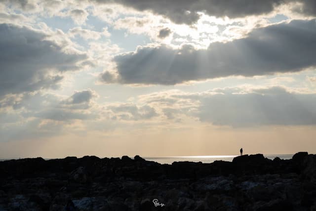 Photo 4 by Moritz S. (4/15/26)