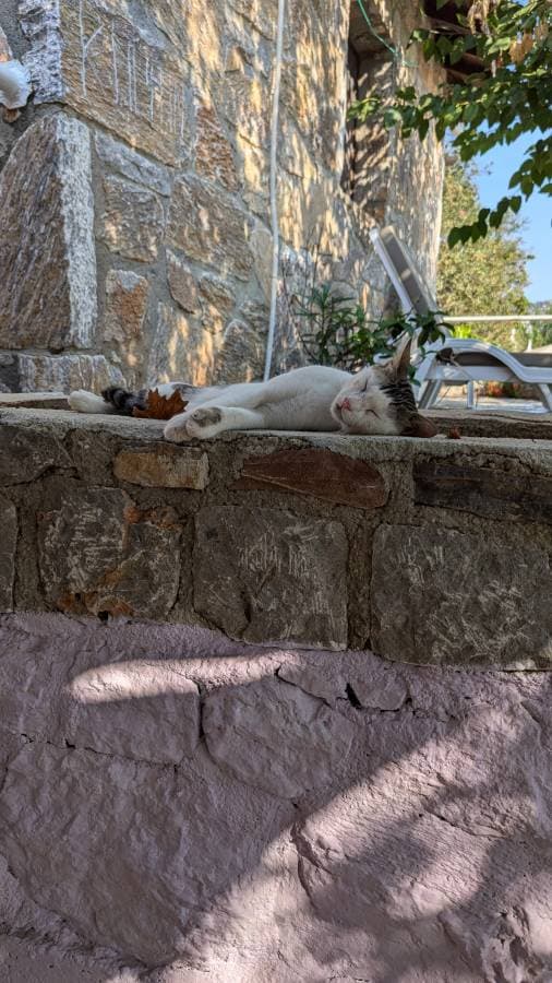 Foto 3 van Ali K. (30-8-24)