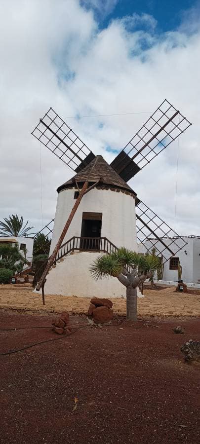 Foto 6 von Rosemarie H. (14.12.25)