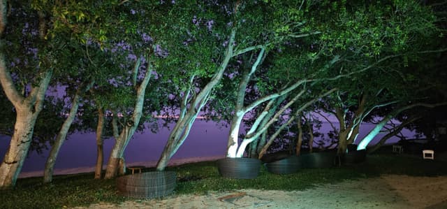 Photo 4 by Dylan L. about renting a Dacia Logan in New Caledonia (7/7/25)