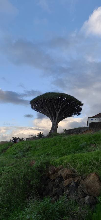 Foto von Shengfeng W. (29.12.25)