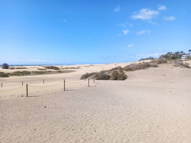 Photo 2 by Inaki A. about renting a Fiat 500 in the Canary Islands (5/3/24)