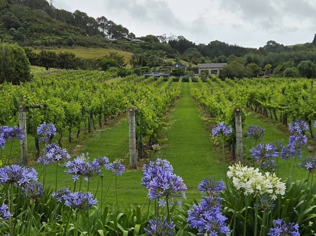 Photo 3 by Peter W. (1/4/26)