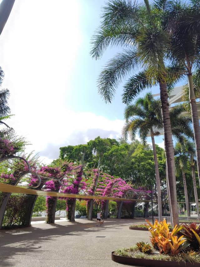 (25/11/21)のレンタルについて、Shigeo K. による写真 7