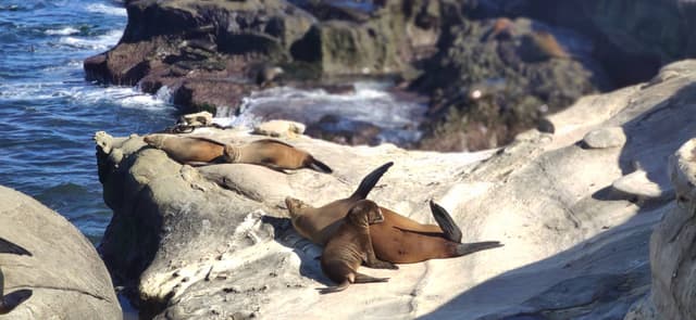 Foto 3 di Cristian C. (08/11/22)