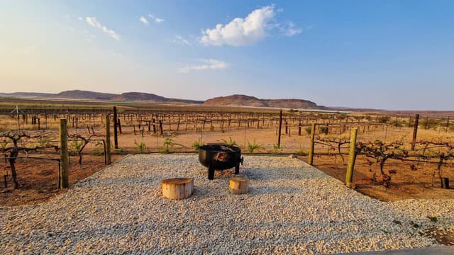 Photo 5 by Jennike V. about hiring a Suzuki Celerio in Cape Town (09.05.24)