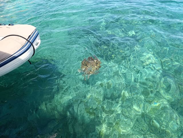 Photo 1 par Michel M. (26/03/26)