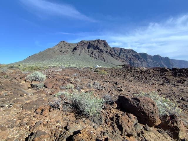 Nuotrauka 4, pateikta Algimantas K. (25-12-10)