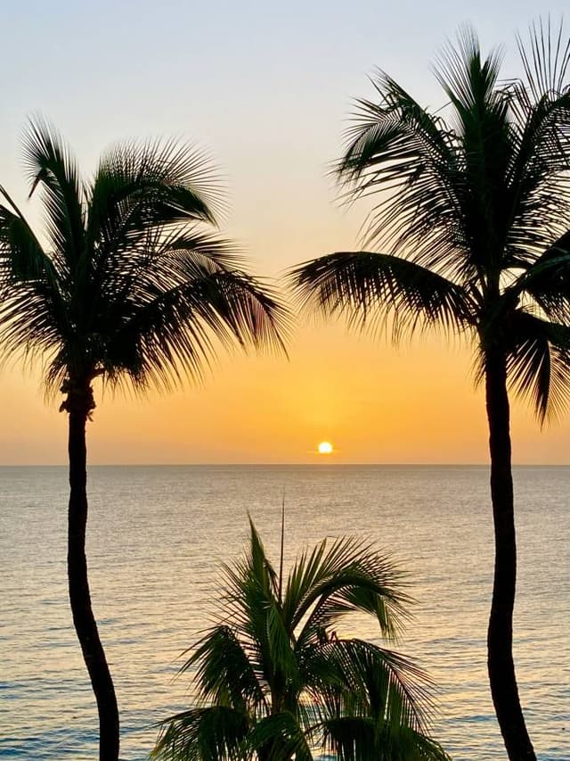 Photo by ROBERT H. about hiring a Suzuki Ertiga at Bridgetown Airport (16.10.23)