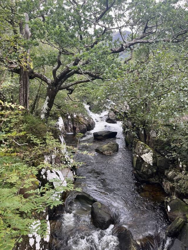 Photo 1 by Edwin V. (9/15/26)