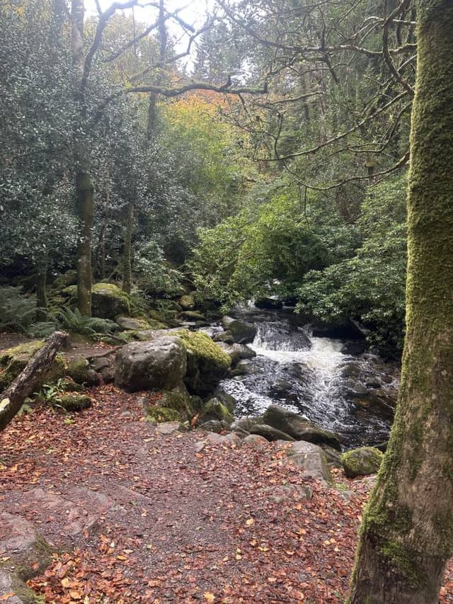 Фото 5 от Svitlana Z. об аренде Ford Fiesta в Дублине (19.11.25)