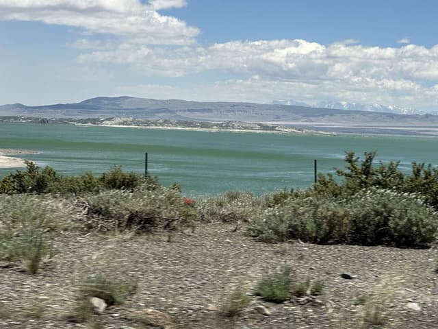 Photo 12 by MARTA JOSEFA N. (5/22/26)