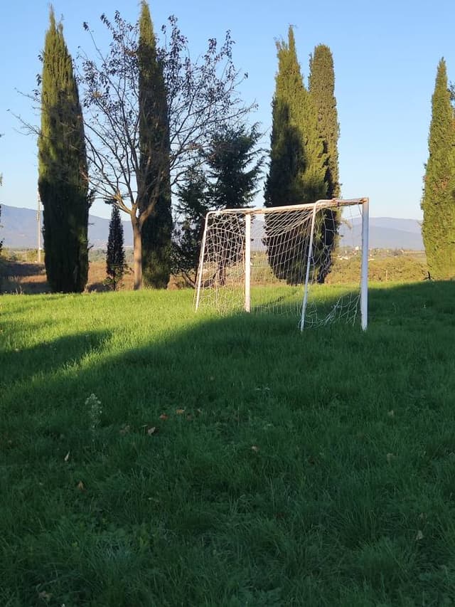 Foto 1 di Andrea S. (02/11/24)