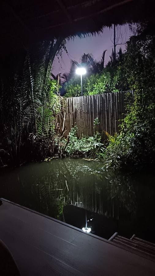 Photo 2 by Allan B. (4/14/26)