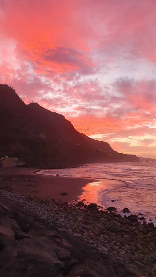 Photo 2 by Spencer W. about hiring a Renault Megane in Tenerife (27.01.24)