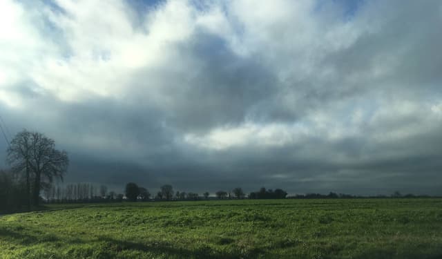 Photo by Dominique P. (12/23/25)