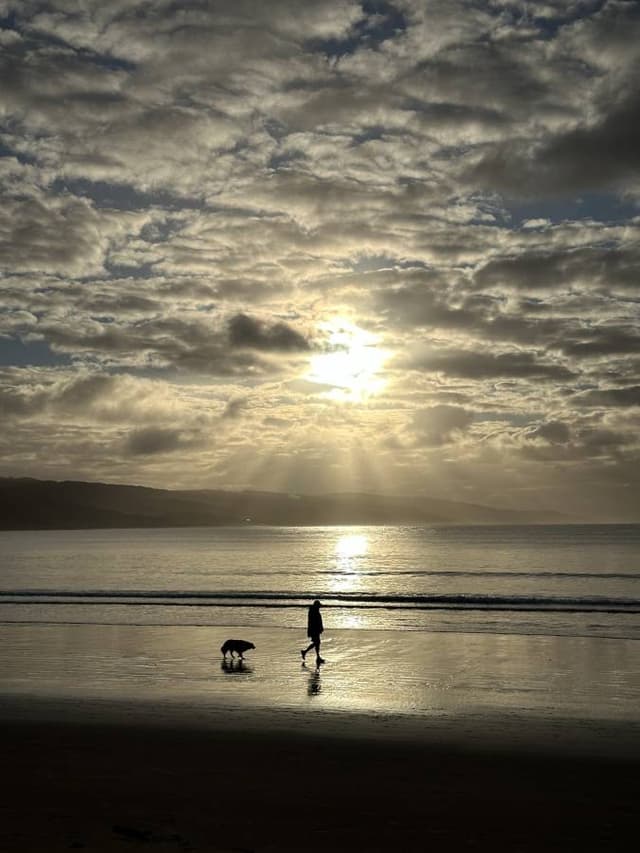 Photo 4 by Cindy O. (6/14/24)