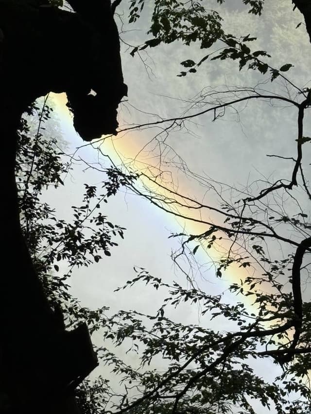 Billede af Susanne S. om at leje en Citroën C3 i Italien - fastland (9/9/25)