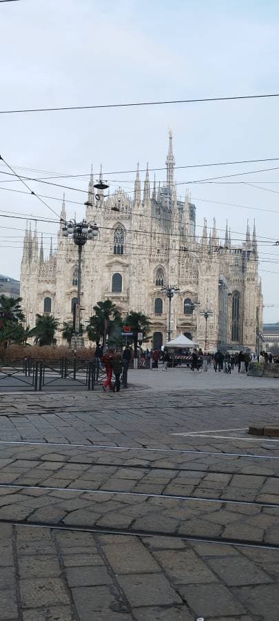 Foto 2 di CINZIA F. sul noleggio di una Fiat 500 all’aeroporto di Treviso (23/01/24)