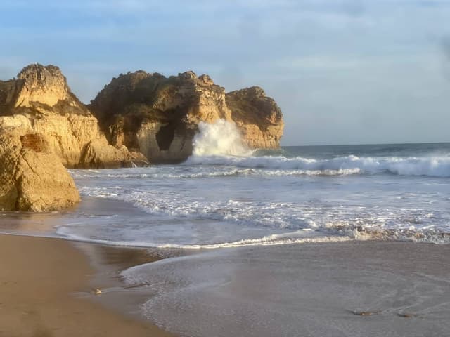 Photo 3 by Nicholas C. (11/14/25)