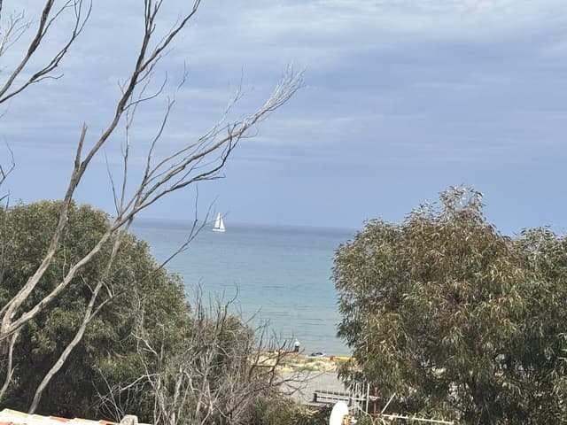 Photo 5 by Teresa B. (5/9/26)