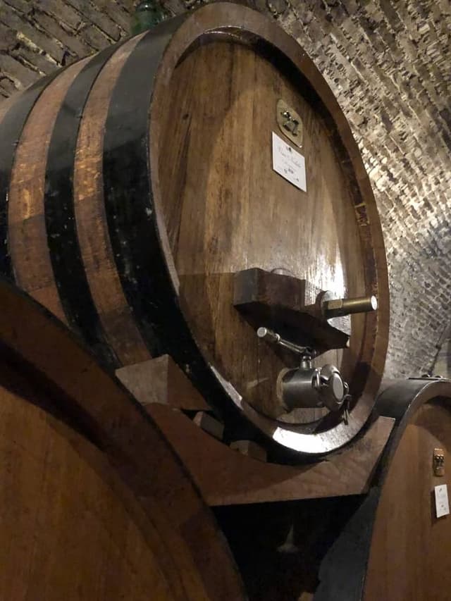 Photo by Tedd N. (9/7/22)