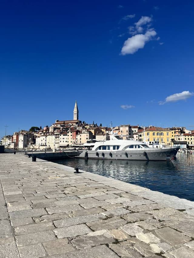 Photo 6 by John B. (10/18/25)