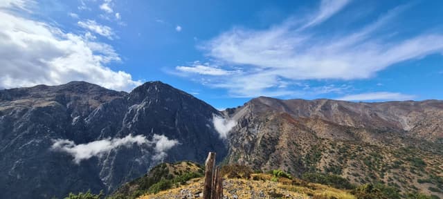 Henkilön Rami L. kuva 2 (13.10.23)