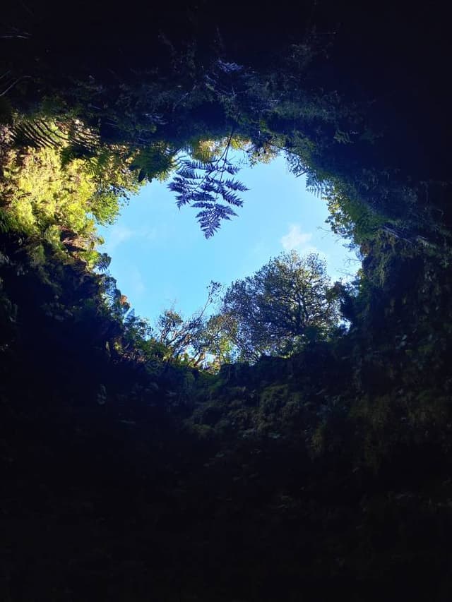 Foto 3 de Maria Manuela Rodrigues P. sobre o aluguer de um Opel Corsa em Praia da Vitória (04/03/24)