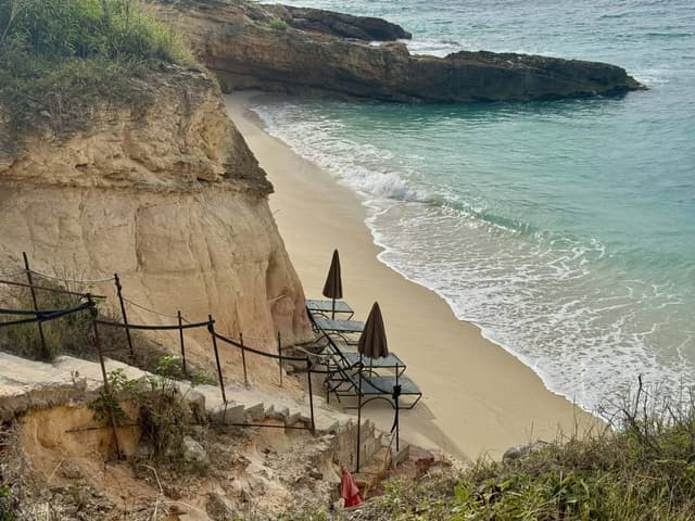 Photo 3 by marie-claude S. (2/5/26)