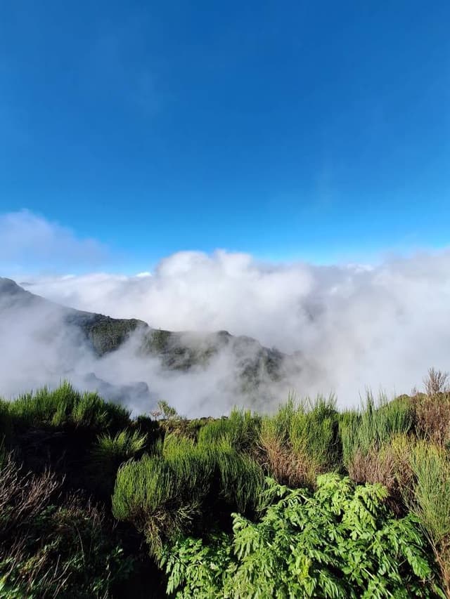 Henkilön Petri S. kuva 1 (3.12.25)