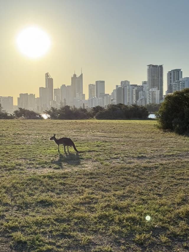 Photo 5 by Jaka G. about renting a Kia Stonic in Australia (5/20/25)