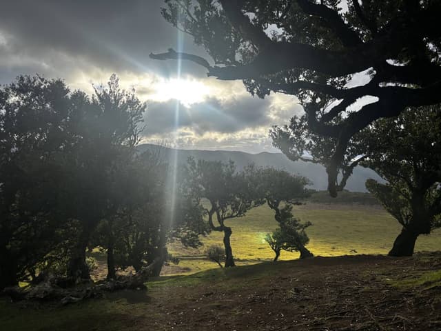 Photo 3 by Adam C. about renting a Fiat New 500 in Madeira (2/17/25)
