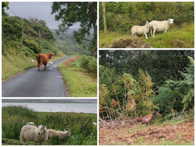 Photo by Katarzyna K. (8/29/23)