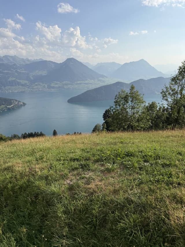 Photo 15 by Marin P. (7/31/26)