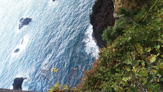 Foto 7 de CLARA S. sobre o aluguer de um Volkswagen Polo em Madeira (23/09/24)