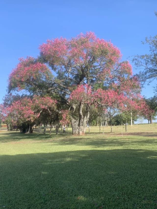 Foto 6 van Johannes Willem D. (20-2-24)