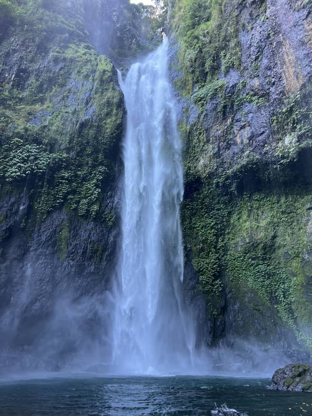 Photo 3 by Emily K. about renting a Honda Fit in Nadi (6/13/25)