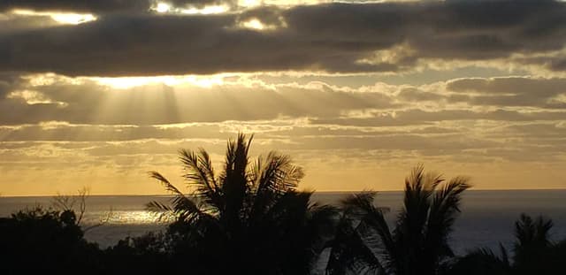 Photo 7 par laurent V. (21/11/25)