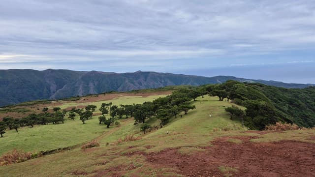 Zdjęcie 3 wykonane przez Piotr K. (20.10.25)